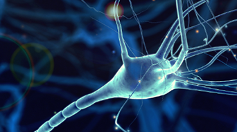 PainSolve Website